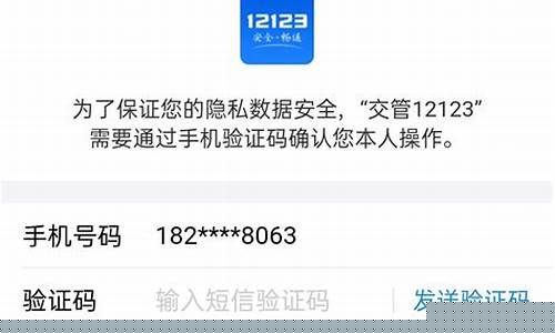 天津机动车违章查询_天津机动车违章查询平台官网